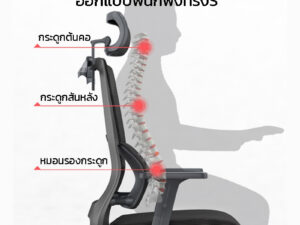 เก้าอี้ออฟฟิศ เก้าอี้เพื่อสุขภาพ เก้าอี้ทำงาน รองรับสรีระ รุ่น Wellness