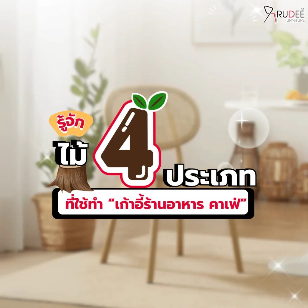 รู้จักไม้ 4 ประเภทที่ใช้ทำ “เก้าอี้ร้านอาหาร คาเฟ่”